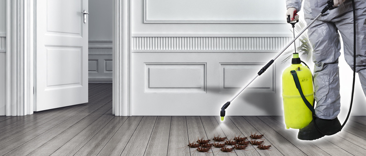 Fumigaci&oacute;n profesional de cucarachas en el hogar