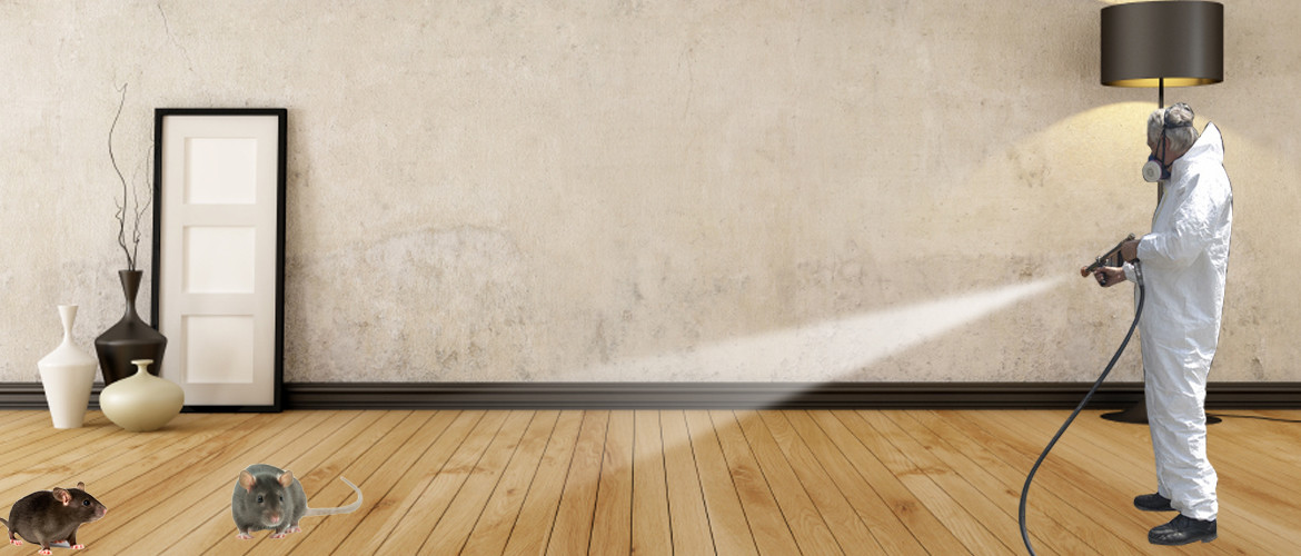 Solucionamos su problema con las ratas y ratones en su hogar o negocio